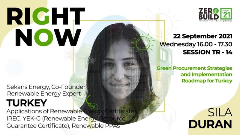exploring sustainable solutions: green procurement in turkey