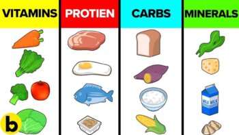 uncover the impact of the six basic nutrients - what will you discover?