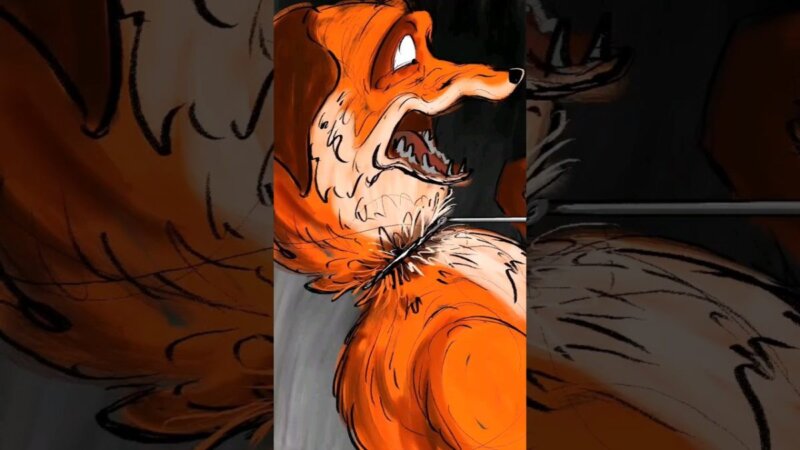 why do hunts hate foxes? #curiosity #shorts