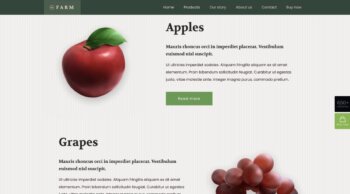 services de conception et de développement de sites Web