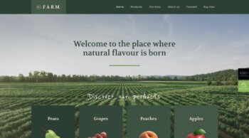 services de conception et de développement de sites Web